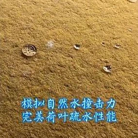 1733386046850~1(001)